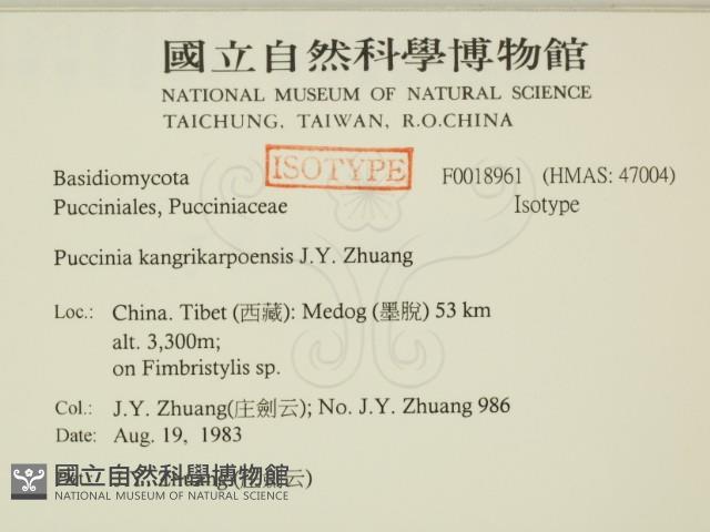 登錄號:F0018961藏品圖，第2張