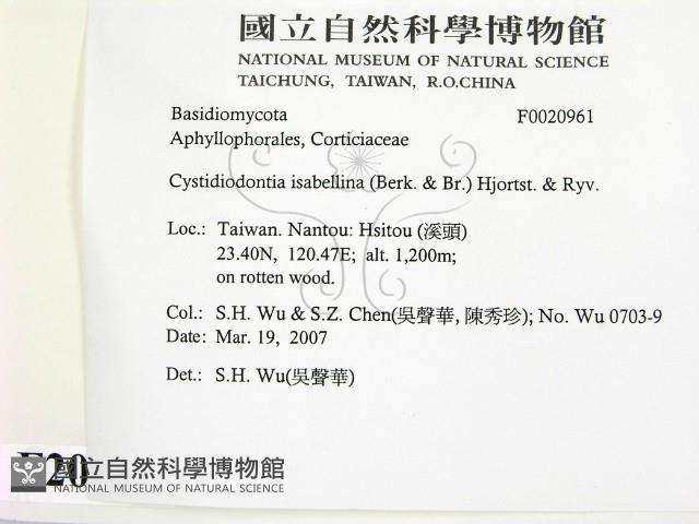 登錄號:F0020961藏品圖，第2張