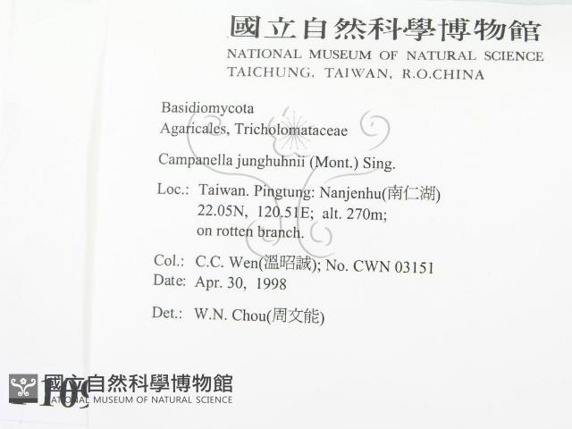 登錄號:F0010961藏品圖，第2張