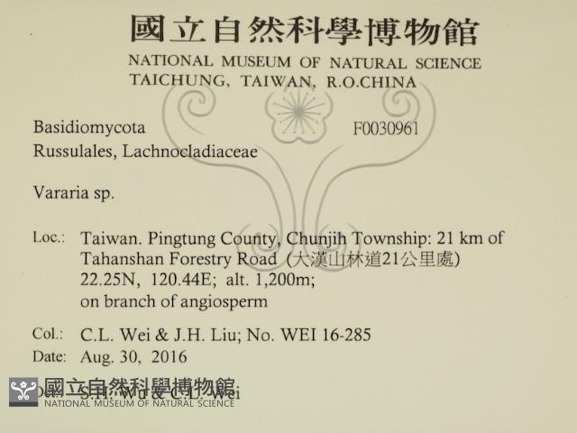 登錄號:F0030961藏品圖，第2張