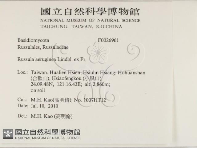 登錄號:F0026961藏品圖，第2張