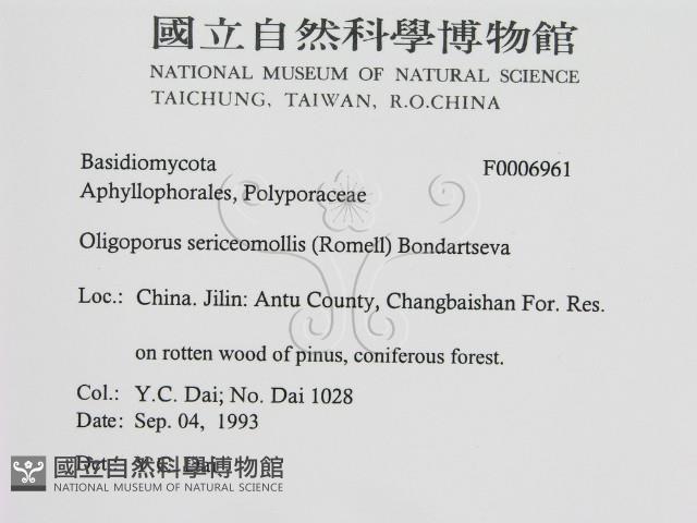 登錄號:F0006961藏品圖，第2張