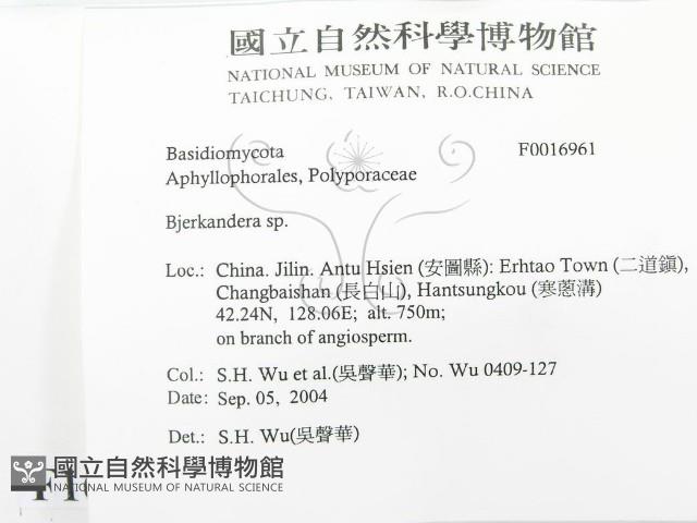 登錄號:F0016961藏品圖，第2張