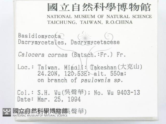 登錄號:F0001961藏品圖，第2張
