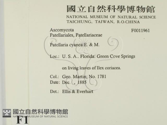 登錄號:F0011961藏品圖，第2張