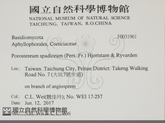 登錄號:F0031961藏品圖，第2張