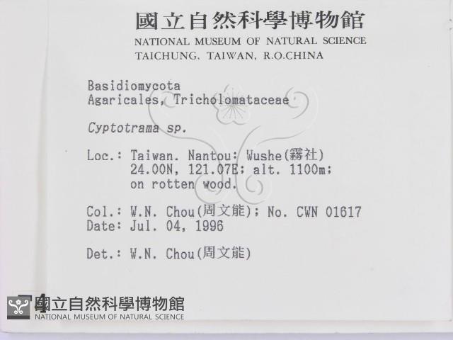 登錄號:F0004961藏品圖，第2張