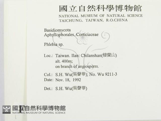 射脈菌屬藏品圖，第2張