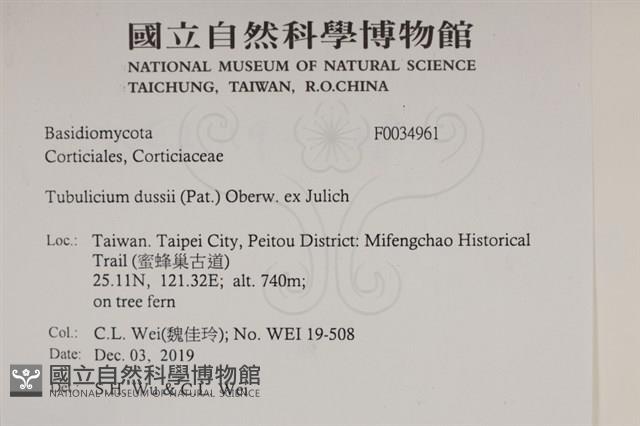 登錄號:F0034961藏品圖，第2張