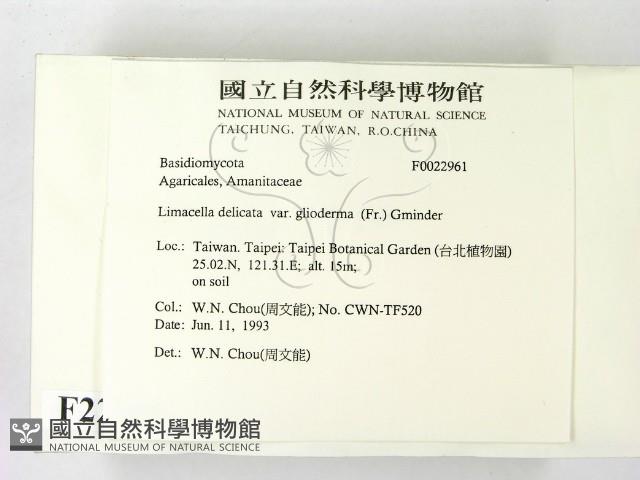 登錄號:F0022961藏品圖，第2張