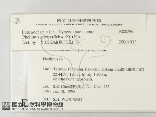 登錄號:F0002961藏品圖，第2張