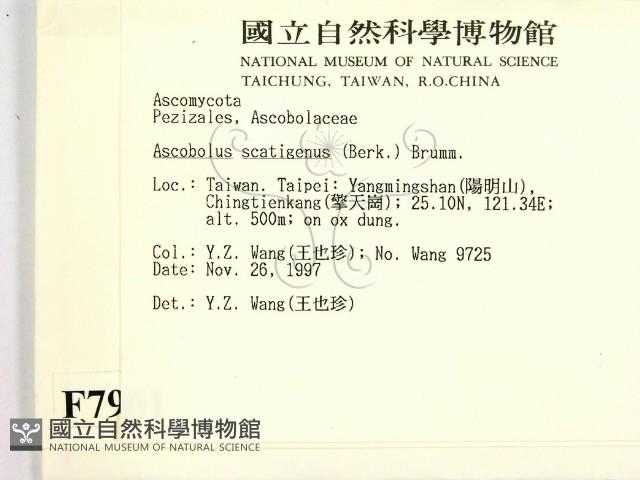 登錄號:F0007961藏品圖，第2張