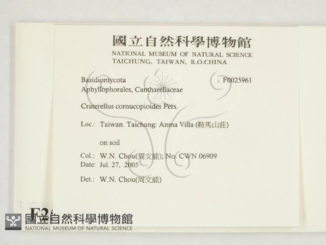 登錄號:F0025961藏品圖，第2張