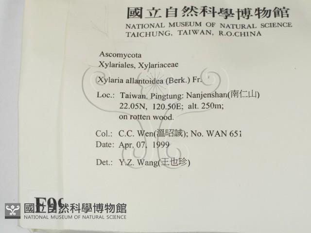 登錄號:F0009961藏品圖，第2張