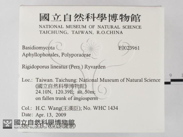 登錄號:F0023961藏品圖，第2張