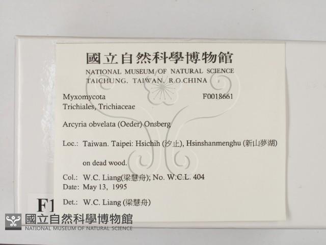 登錄號:F0018661藏品圖，第2張