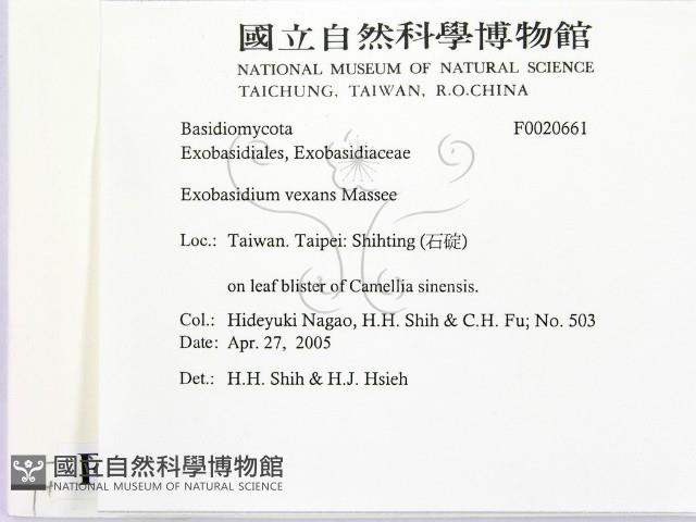 登錄號:F0020661藏品圖，第2張