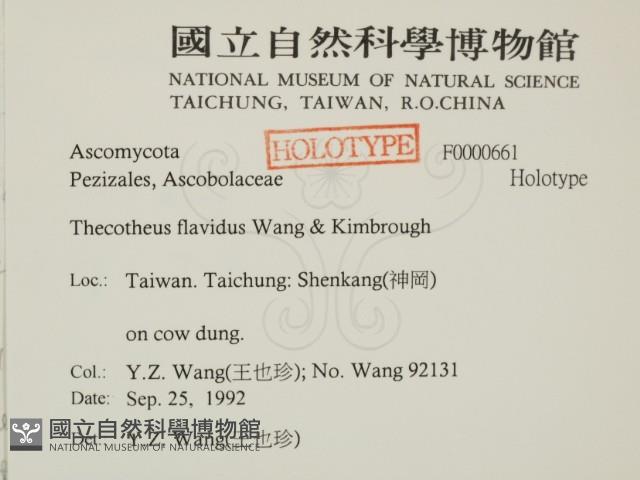 登錄號:F0000661藏品圖，第2張