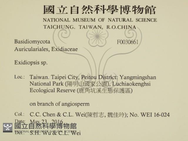 登錄號:F0030661藏品圖，第2張