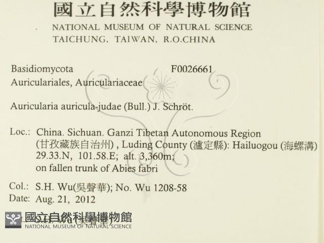 登錄號:F0026661藏品圖，第2張