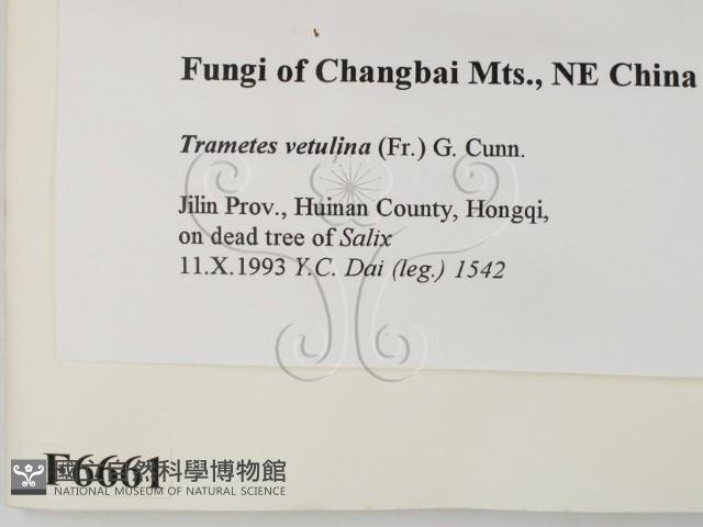 登錄號:F0006661藏品圖，第2張