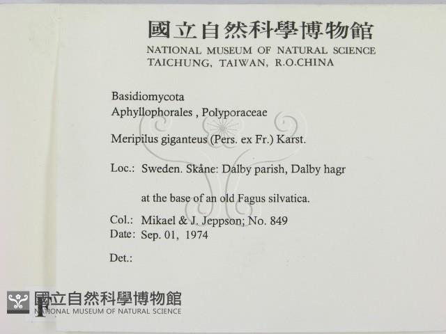 登錄號:F0016661藏品圖，第2張