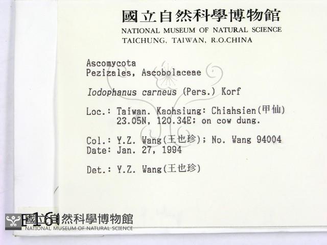 登錄號:F0001661藏品圖，第2張