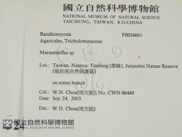 Accession Number:F0024661 Collection Image, Figure 2, Total 3 Figures