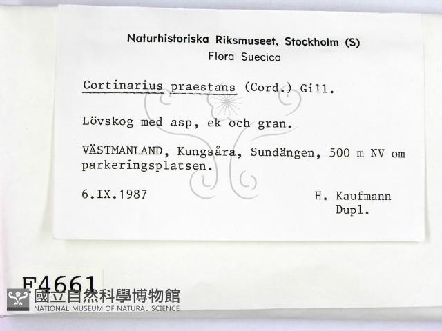 登錄號:F0004661藏品圖，第2張