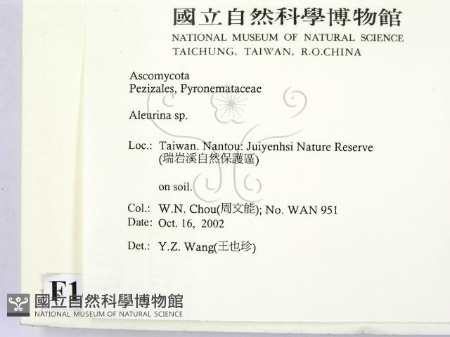 登錄號:F0014661藏品圖，第2張