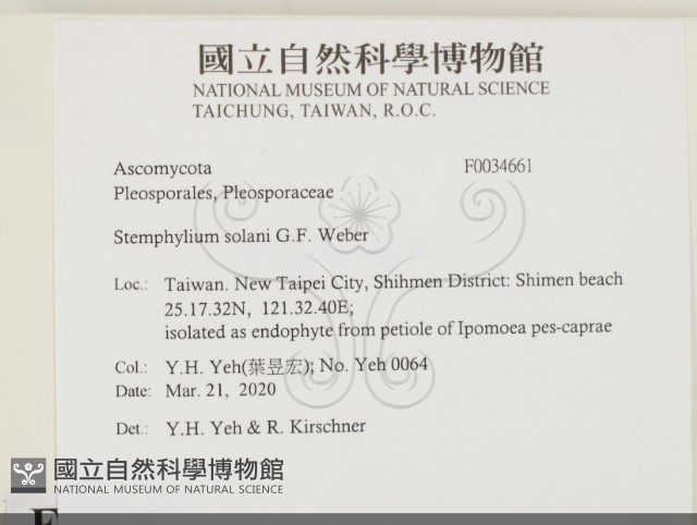 登錄號:F0034661藏品圖，第2張