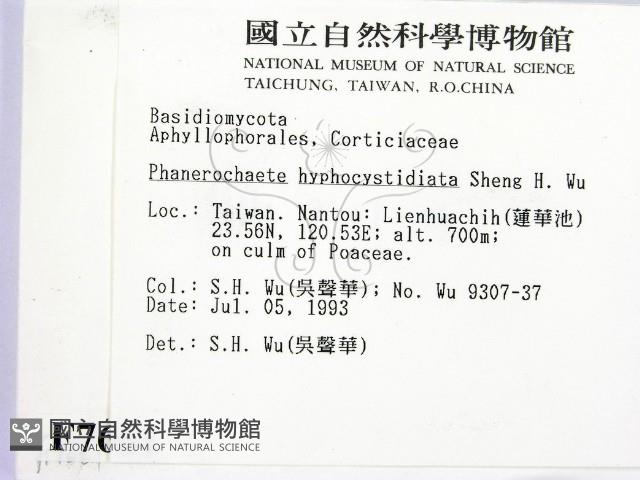 登錄號:F0007661藏品圖，第2張