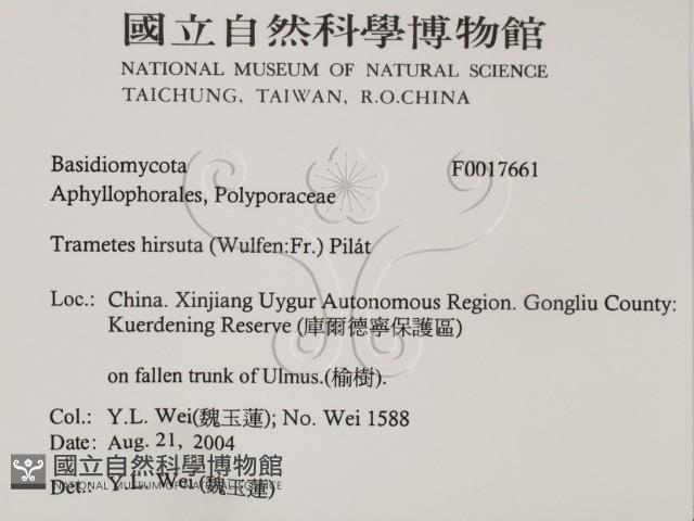 登錄號:F0017661藏品圖，第2張