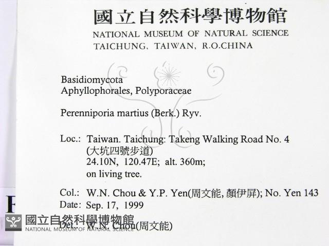 登錄號:F0015661藏品圖，第2張