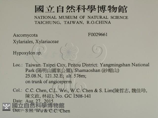 登錄號:F0029661藏品圖，第2張