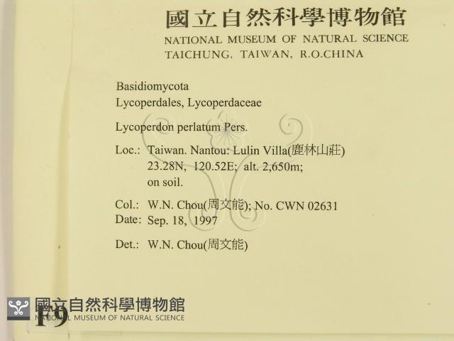 登錄號:F0009661藏品圖，第2張