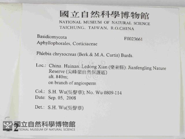 登錄號:F0023661藏品圖，第2張