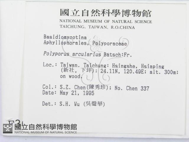 登錄號:F0003661藏品圖，第2張