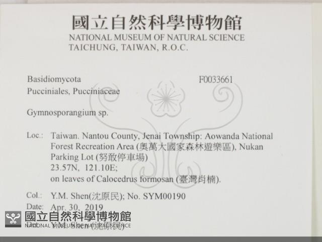 登錄號:F0033661藏品圖，第2張