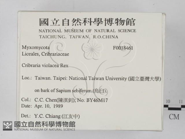 登錄號:F0018461藏品圖，第2張