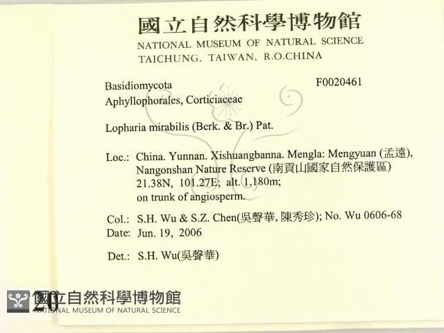 館號:F0020461藏品圖，第2張