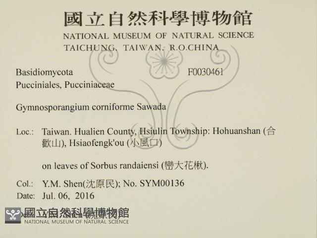 登錄號:F0030461藏品圖，第2張