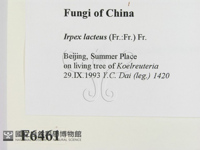 登錄號:F0006461藏品圖，第2張
