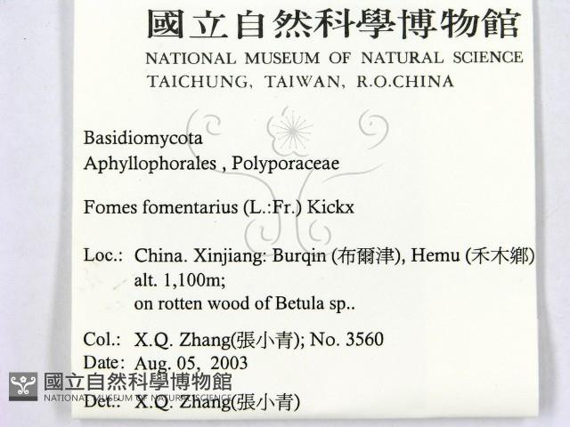 登錄號:F0016461藏品圖，第2張