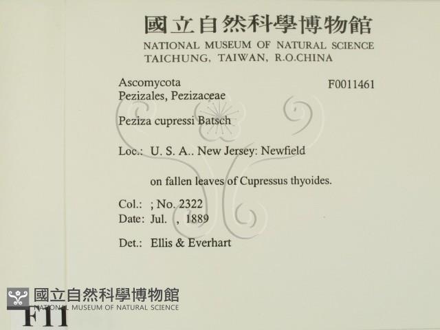 登錄號:F0011461藏品圖，第2張