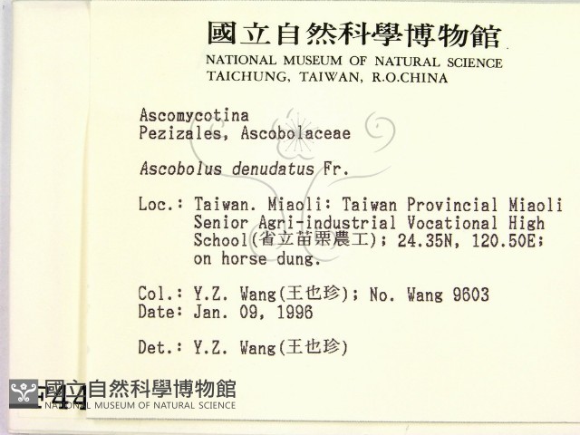 登錄號:F0004461藏品圖，第2張