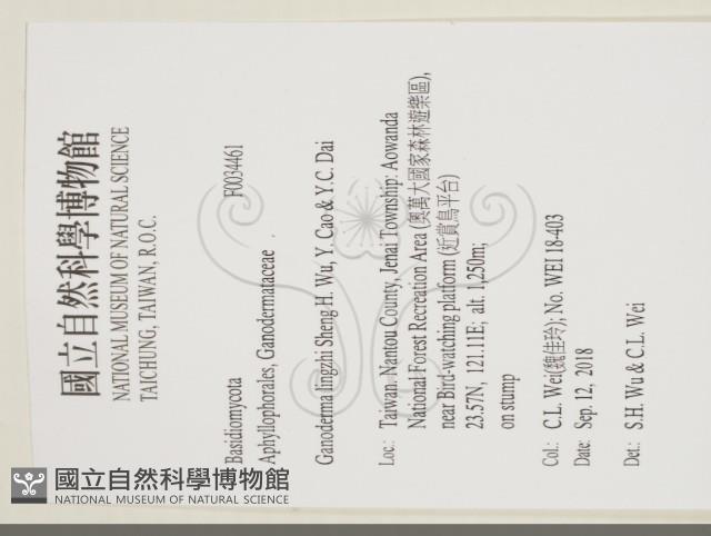 登錄號:F0034461藏品圖，第2張
