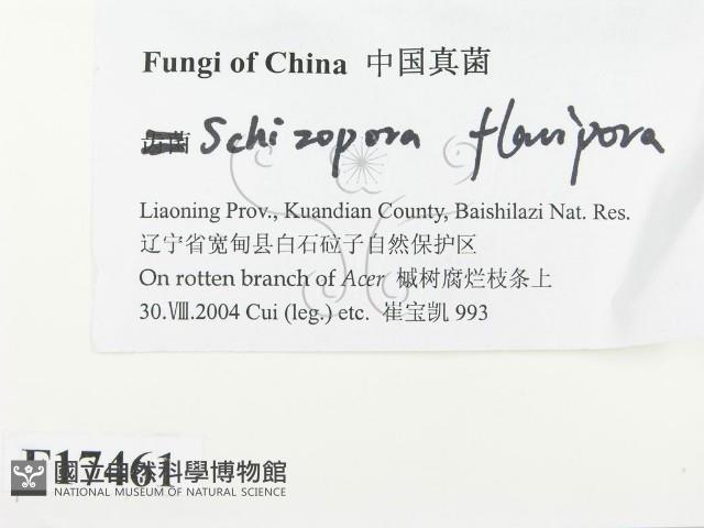 登錄號:F0017461藏品圖，第2張