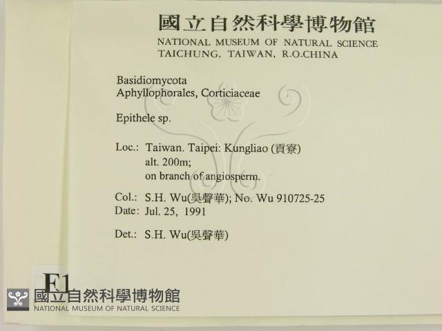 登錄號:F0015461藏品圖，第2張