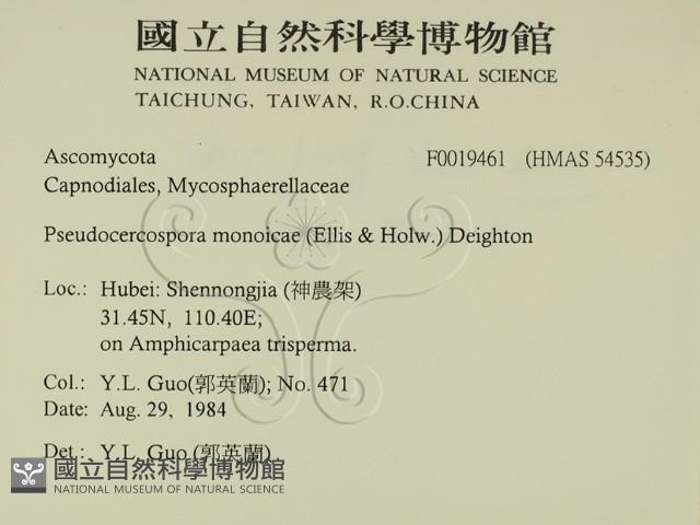 登錄號:F0019461藏品圖，第2張
